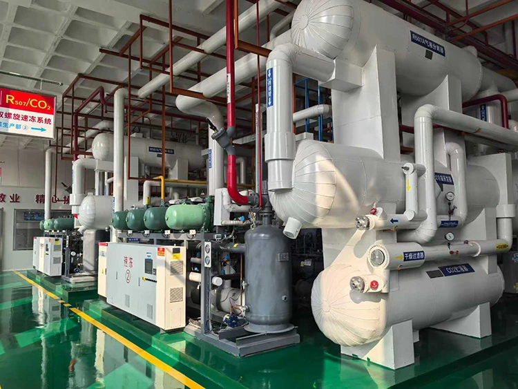 CO₂ Unit Pemampat Penyejukan Subkritikal